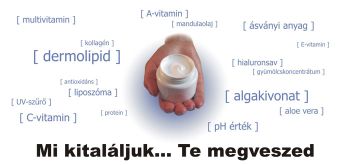 Kép
